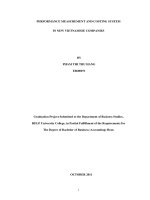 performance measurement and costing system in new vietnamese companies