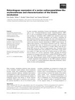 Báo cáo khoa học: Heterologous expression of a serine carboxypeptidase-like acyltransferase and characterization of the kinetic mechanism potx
