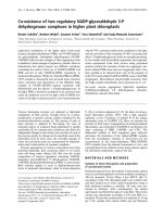 Báo cáo Y học: Co-existence of two regulatory NADP-glyceraldehyde 3-P dehydrogenase complexes in higher plant chloroplasts ppt
