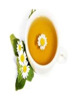 Thanh nhiệt giải thử bằng hoa pptx