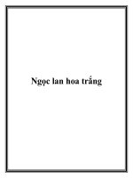 Ngọc lan hoa trắng pptx