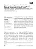 Báo cáo khoa học: Quantitative modeling of triacylglycerol homeostasis in yeast – metabolic requirement for lipolysis to promote membrane lipid synthesis and cellular growth potx