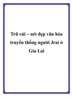 Trữ củi – nét đẹp văn hóa truyền thống người Jrai ở Gia Lai pptx