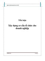 Xây dựng cơ cấu tổ chức cho doanh nghiệp