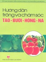 hướng dẫn trồng và chăm sóc táo bưởi hồng na
