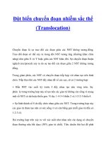 Đột biến chuyển đoạn nhiễm sắc thể (Translocation) pptx