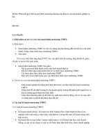 marketing thương mại điện tử potx