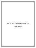 NHỮNG THANH GỖ MỸ THUẬT DUYÊN DÁNG CỦA DENIS TRICOT potx