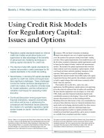Using Credit Risk Models for Regulatory Capital: Issues and Options pot