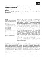Báo cáo khoa học: Human recombinant prolidase from eukaryotic and prokaryotic sources Expression, puriﬁcation, characterization and long-term stability studies pptx