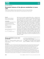 Báo cáo khoa học: Enzymatic features of the glucose metabolism in tumor cells ppt