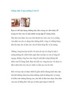 Giáng sinh về qua những ô cửa sổ potx