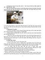 Kỹ thuật làm vaccine cho gia cầm