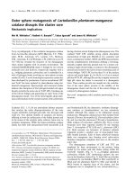 Báo cáo khoa học: Outer sphere mutagenesis of Lactobacillus plantarum manganese catalase disrupts the cluster core pptx
