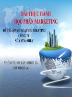 Lập chiến lược marketing công ty Vinamilk pdf