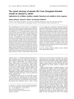 Báo cáo khoa học: The crystal structure of annexin Gh1 from Gossypium hirsutum reveals an unusual S3 cluster Implications for cellulose synthase complex formation and oxidative stress response potx