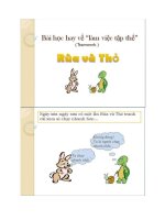 Bài học hay về làm việc tập thể 