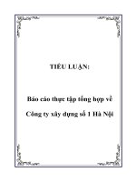 tiểu luận đề tài công ty xây dựng số 1 hà nội