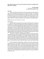 HẠN CHẾ TÁC HẠI CỦA SÂU ĐỤC NÕN HYPSIPYLA ROBUSTA (MOORE) BẰNG BIỆN PHÁP CHE BÓNG ppt