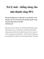 Xử lý mái - chống nóng cho nhà thành công 50% pot