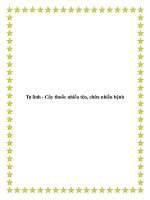 Tu lình - Cây thuốc nhiều tên, chữa nhiều bệnh pdf