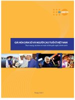 Già hóa dân số và người cao tuổi ở Việt Nam pptx