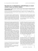 Báo cáo khoa học: Thioredoxin Ch1 of Chlamydomonas reinhardtii displays an unusual resistance toward one-electron oxidation potx