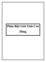 Phân Biệt Giới Tính Con Dông potx