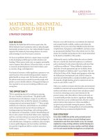 Maternal, neonatal, and child health doc