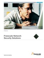 Freescale Network Security Solutions pptx