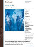 Nothing But Net 2009 Internet Investment Guide potx