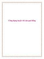 Công dụng tuyệt vời của quả hồng docx