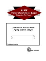 overview of process plant - piping system design