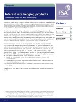 Interest rate hedging products - Information about our work and findings pot