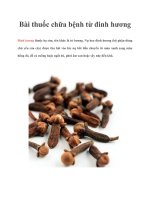 Bài thuốc chữa bệnh từ đinh hương pptx
