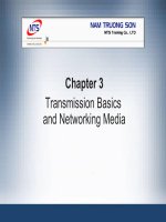Chapter 3 Transmission Basics and Networking Media pdf