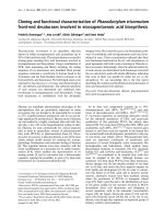 Báo cáo khoa học: Cloning and functional characterization of Phaeodactylum tricornutum front-end desaturases involved in eicosapentaenoic acid biosynthesis doc