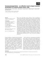 Báo cáo khoa học: Immunonanoparticles ) an effective tool to impair harmful proteolysis in invasive breast tumor cells docx
