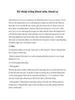 Kỹ thuật trồng khoai môn, khoai sọ ppt