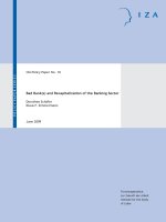 Bad Bank(s) and Recapitalization of the Banking Sector docx