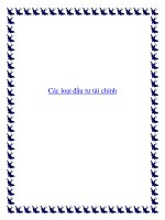Các loại đầu tư tài chính doc
