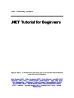 tutorial 20 for 20 beginners