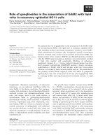 Báo cáo khoa học: Role of gangliosides in the association of ErbB2 with lipid rafts in mammary epithelial HC11 cells docx