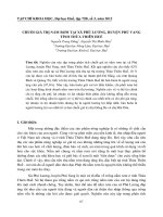 CHUỖI GIÁ TRỊ NẤM RƠM TẠI XÃ PHÚ LƯƠNG, HUYỆN PHÚ VANG TỈNH THỪA THIÊN HUẾ pptx