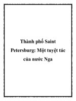 Thành phố Saint Petersburg: Một tuyệt tác của nước Nga docx