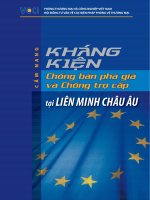 Cẩm nang kháng kiện chống bán phá giá và chống trợ cấp tại Liên minh Châu Âu pptx