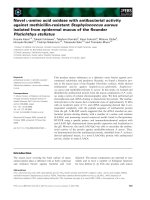Báo cáo khoa học: Novel L-amino acid oxidase with antibacterial activity against methicillin-resistant Staphylococcus aureus isolated from epidermal mucus of the ﬂounder Platichthys stellatus pptx