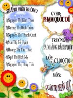 Đề tài Môn Quản trị nhân lực pot