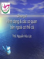 Hình dạng & các cơ quan bên ngoài cơ thể cá doc