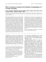 Báo cáo khoa học: Effect of priming on activation and localization of phospholipase D-1 in human neutrophils potx